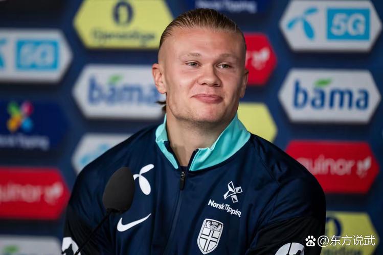 五大联赛唯一中资球队神仙难救 狼队15轮2分 魔鬼赛程战枪蜂军魔（五大联赛唯一中资队陷入绝境：狼队15轮仅2分，魔鬼赛程连战枪手、蜜蜂、红魔）